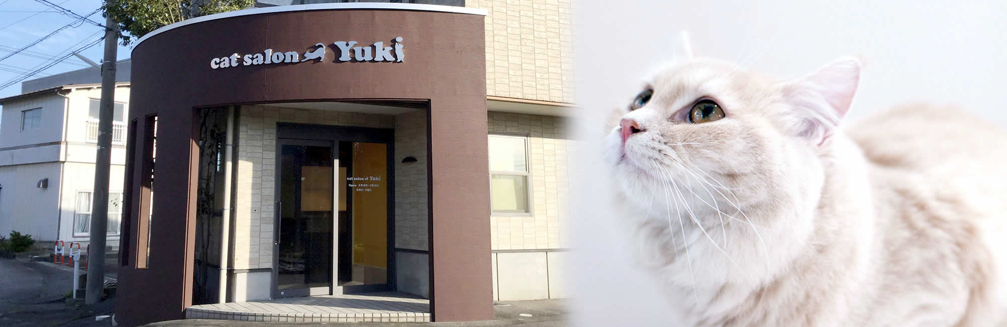 獣医さんがつくった猫ちゃんと猫好きさんのためのお店